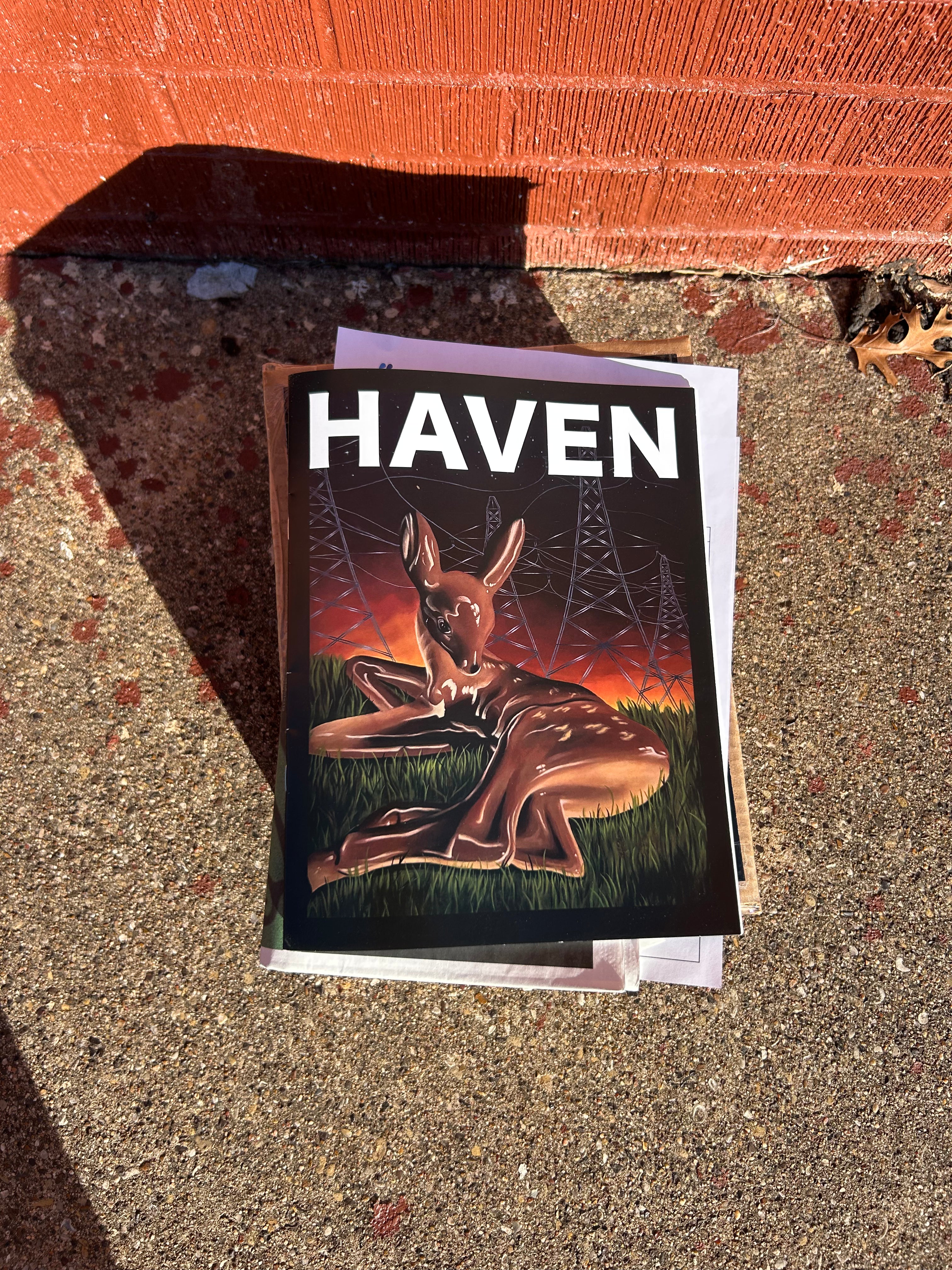 HAVEN Pub. Demo 1 - Tyson Shepherd - "Shadows"