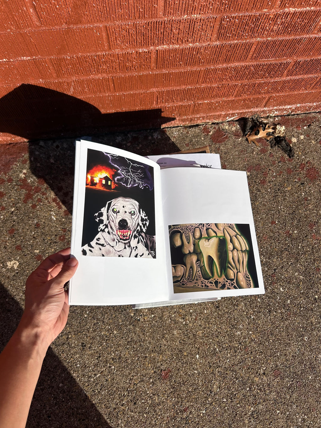 HAVEN Pub. Demo 1 - Tyson Shepherd - "Shadows"