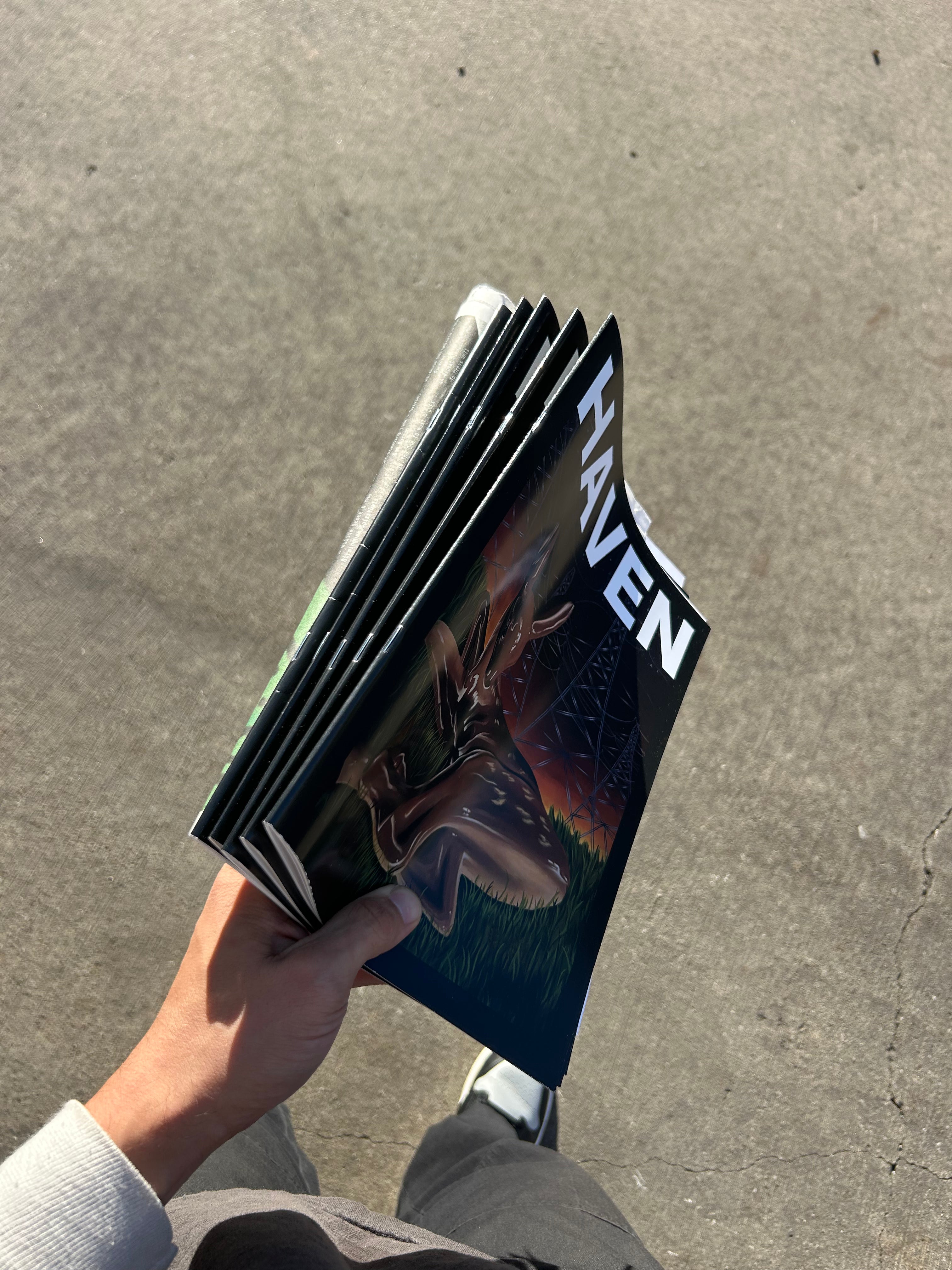 HAVEN Pub. Demo 1 - Tyson Shepherd - "Shadows"